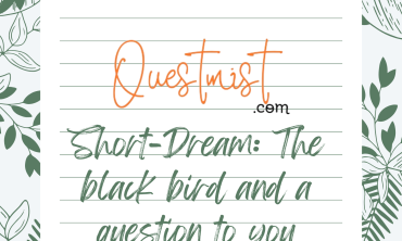 Dream: The black bird and a question to you